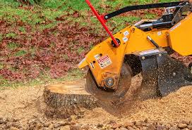 Best Seasonal Cleanup (Spring/Fall)  in Medford, NY